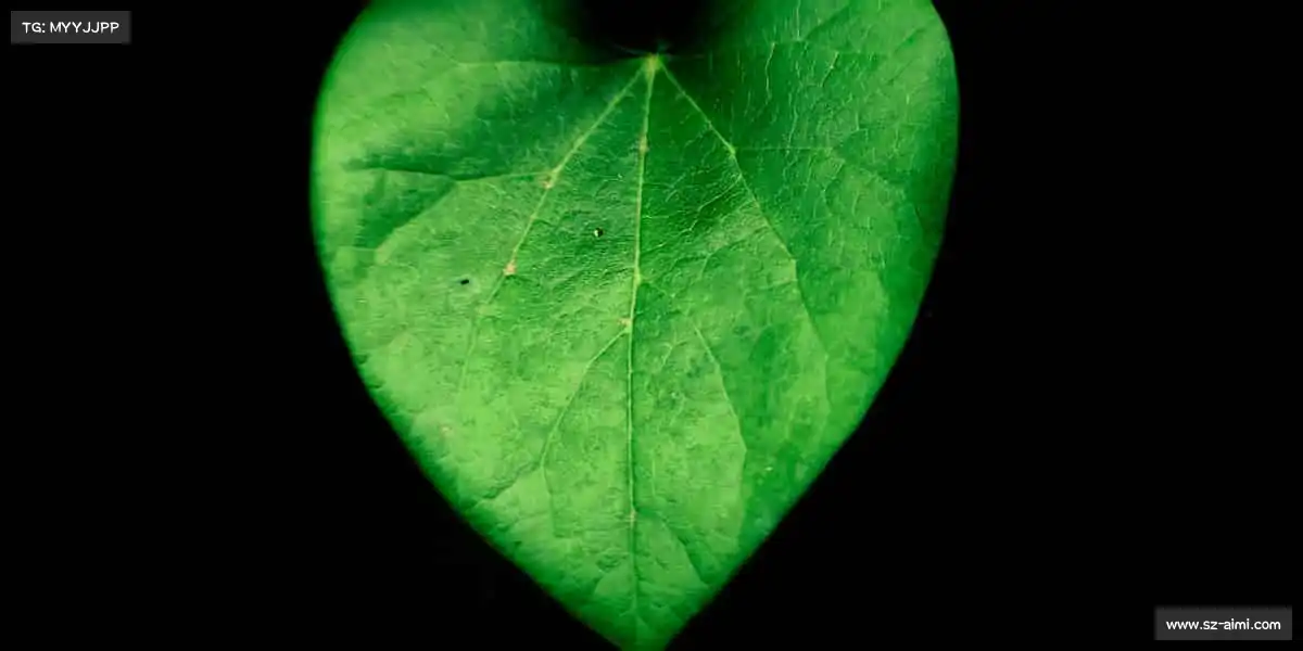 米兰体育🚴‍♀️风在前，无惧挑战！每一次骑行、每一次挥拍，都是成长的印记！